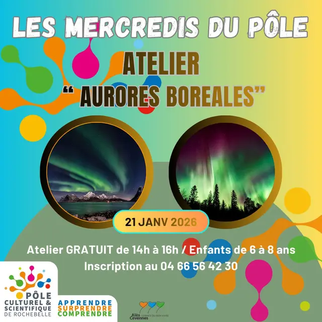 Les Mercredis du Pôle - Atelier  Art & Aurores Boréales