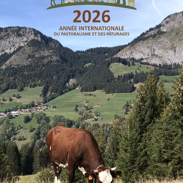 Regards croisés sur les alpages : projections et échanges d’experts_Abondance