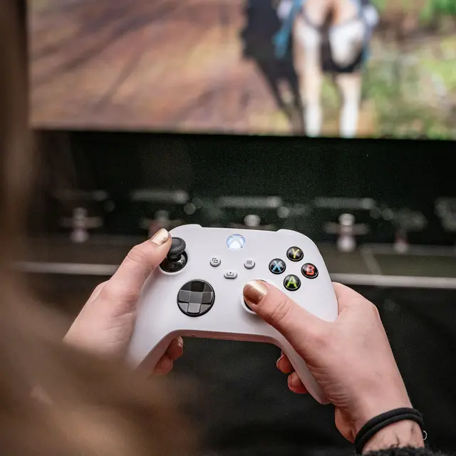 Concours de Jeux Vidéos_Faverges-Seythenex