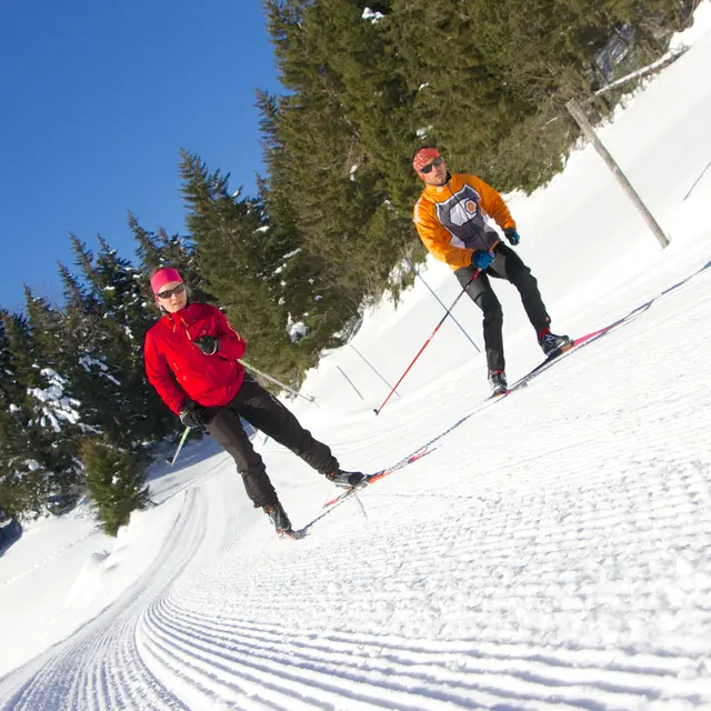 Ski de fond