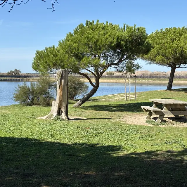 Aire de pique-nique du Goisil La Couarde-sur-Mer