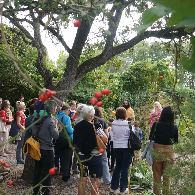 Concerts ''19h01'' à Salagon_Mane