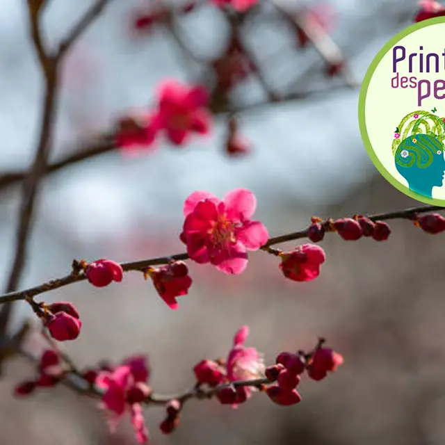 Printemps des pensées 2026 : concert Meylomanies_Meylan