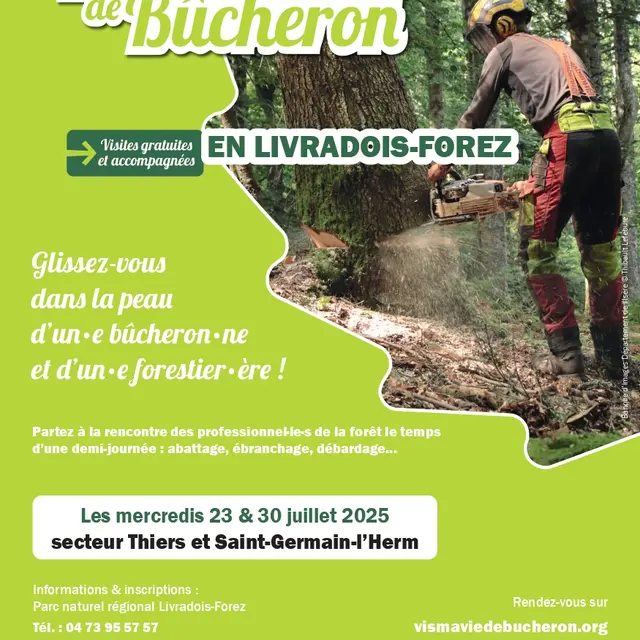 Vis ma vie de Bûcheron, secteur Ambert_Saint-Germain-l'Herm