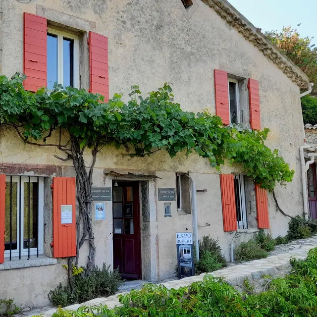 Edy Boucher - L'Arbre en Scène, sculpteur sur bois_Brantes