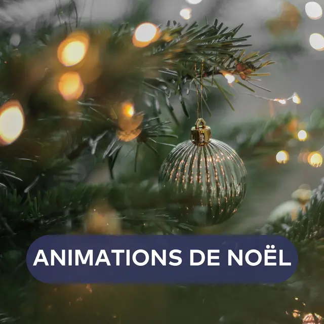 Animations de noel