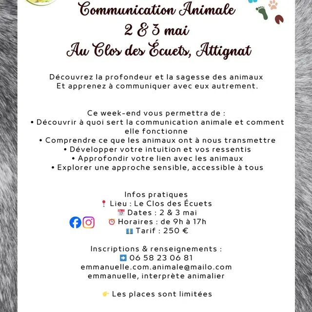 Affiche WE initiation à communication animale