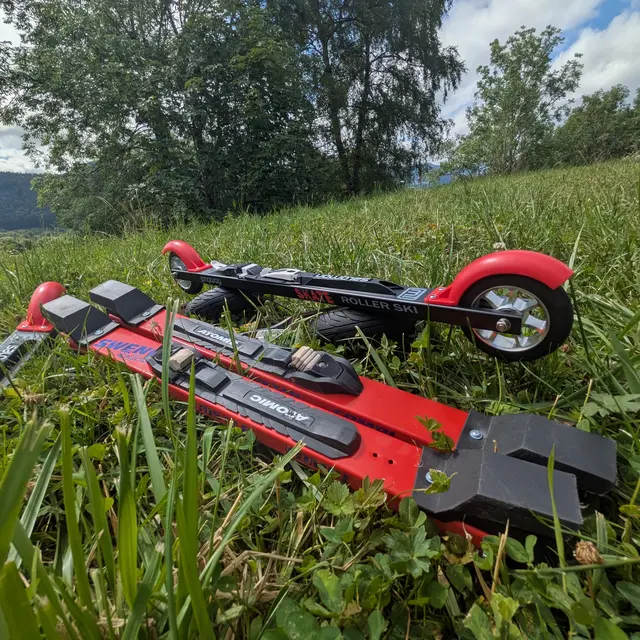 Découverte du ski-roues_Habère-Poche