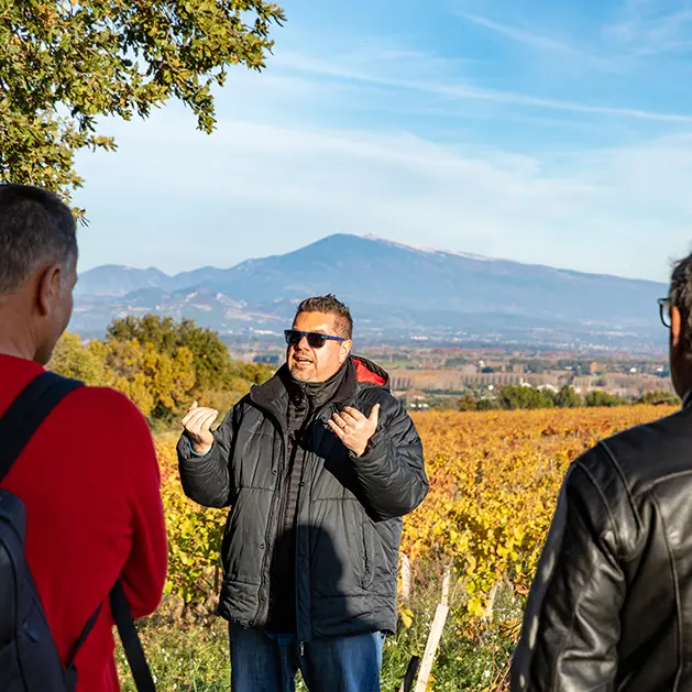 Découverte et visite des terroirs de Châteauneuf du Pape_Châteauneuf-du-Pape