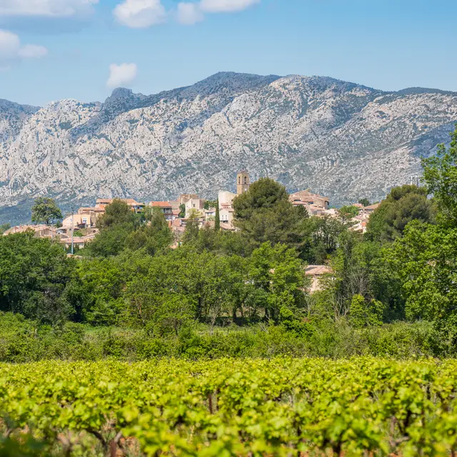 Boucle du Belvédère | Sentier Vigneron Pourrières