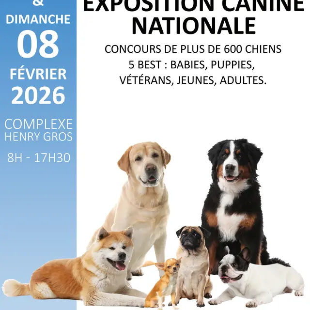 Exposition Canine Nationale_Cavalaire-sur-Mer