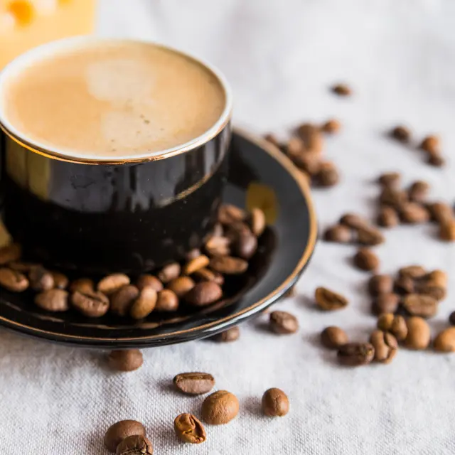 Initiation au café de spécialité_Avignon