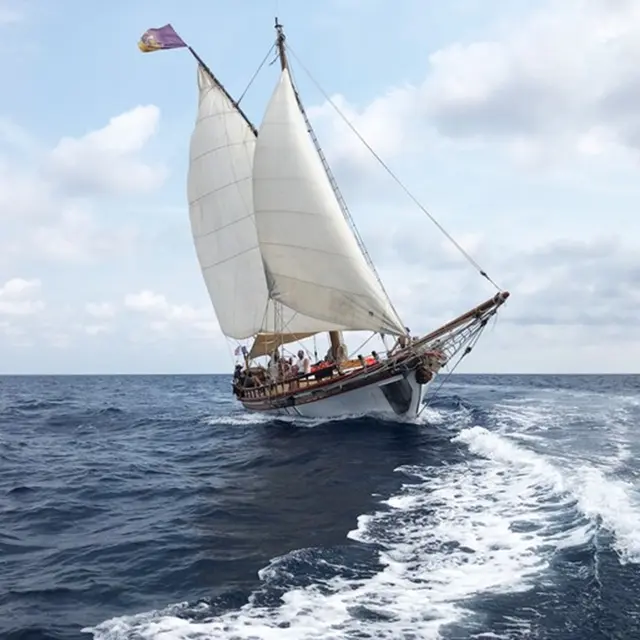Journées de la Mer - Découverte des cétacés de Méditerranée_Menton