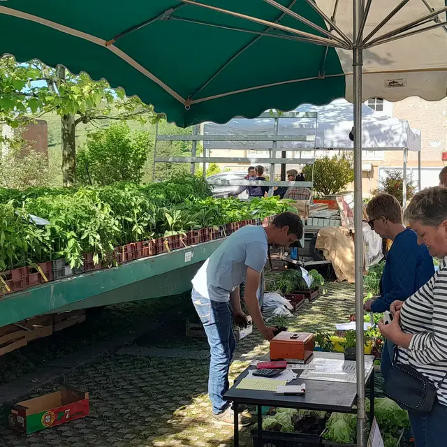 Marché de producteurs