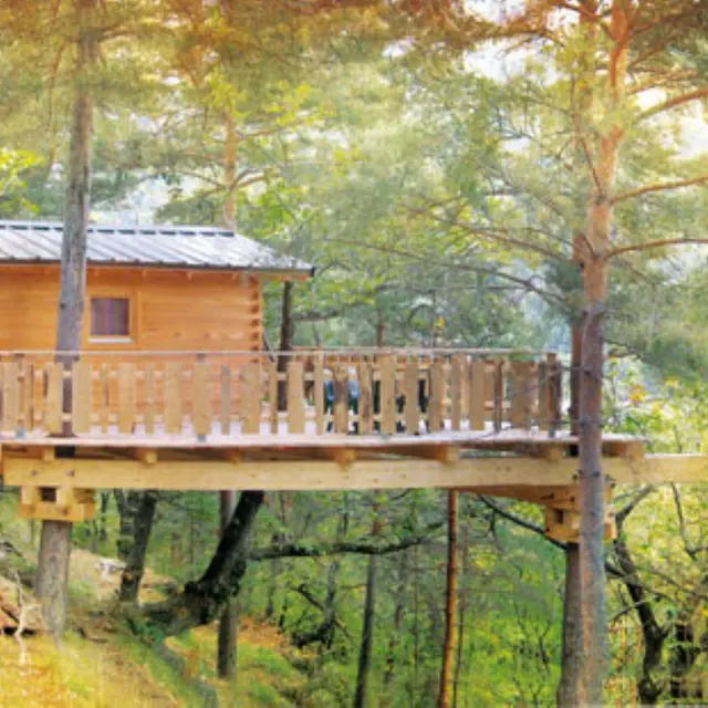 Maison dans les arbres