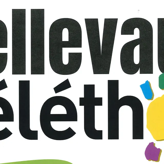 Téléthon à Bellevaux