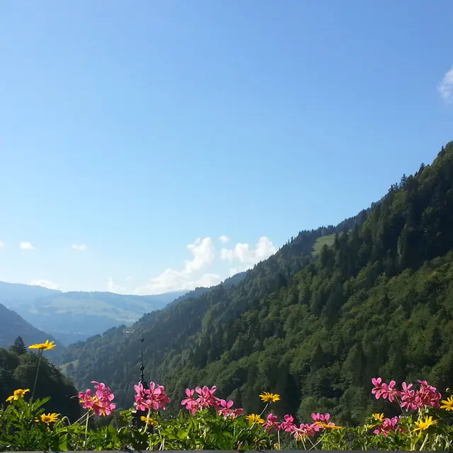 Les Niverolles - Vue