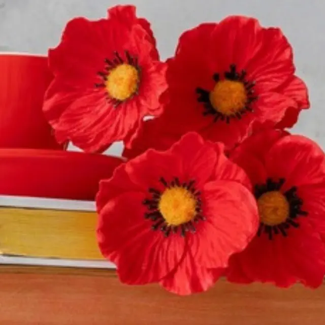 Rencontres littéraires : le bar à livre_Sainte-Maxime