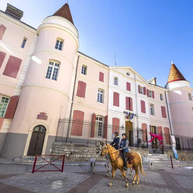 Chateau de Malijai