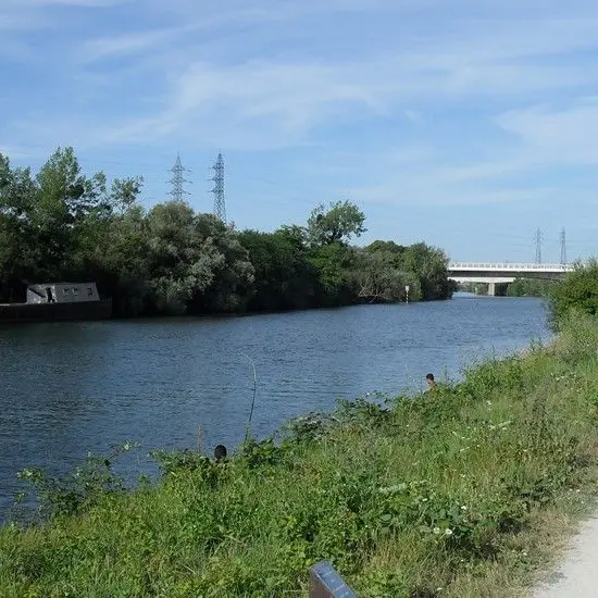 Yoga méditatif sur les berges de Bezons_Bezons