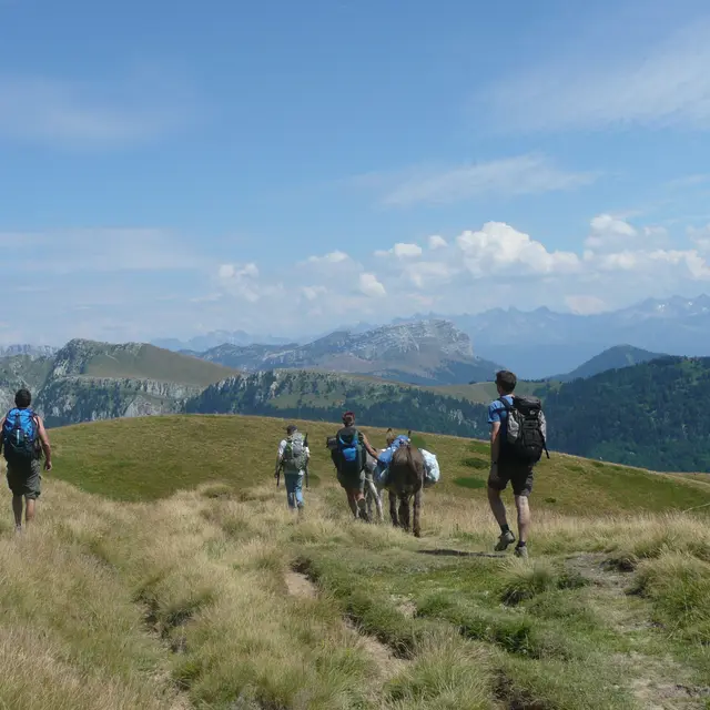 alpage des Varareys