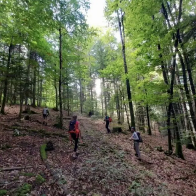 20 ans pour faire pousser l’avenir – Forêt du Groupement des Chavonnes_Le Noyer