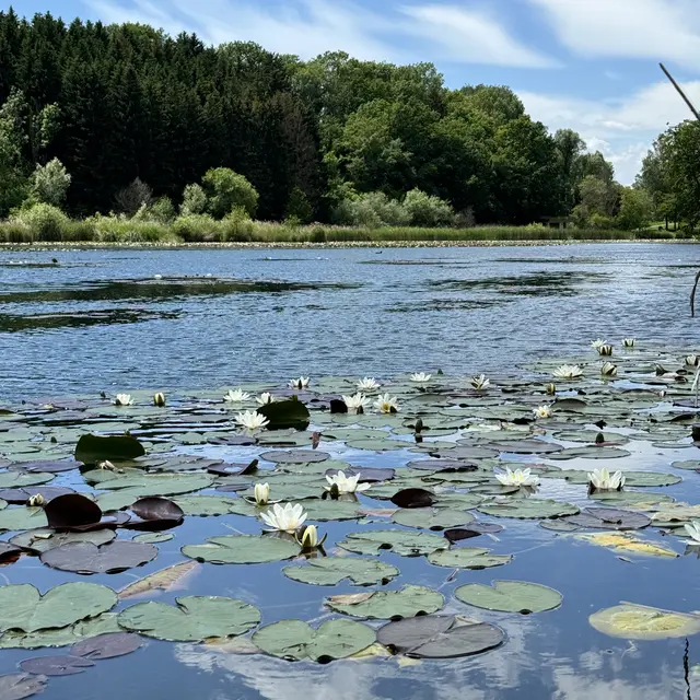 Balade du tour du lac du Môle