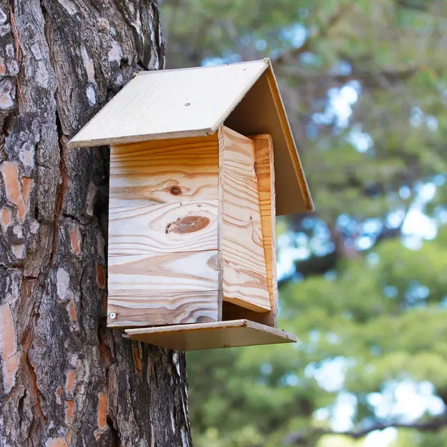 Fabrique ton nichoir_Saint-Bonnet-le-Courreau