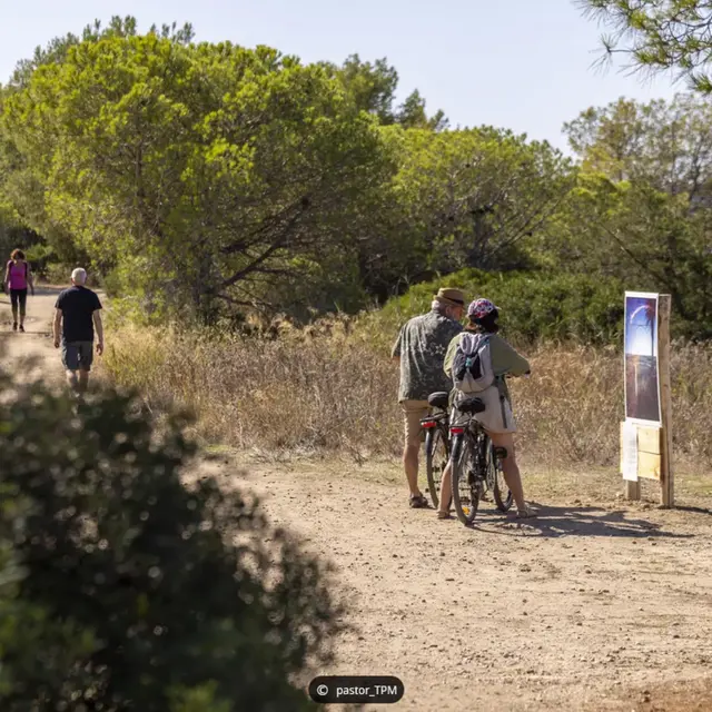 Journée mondiale de la biodiversité_Hyères