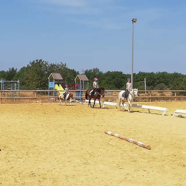 Centre équestre de Montmeyan - Montmeyan