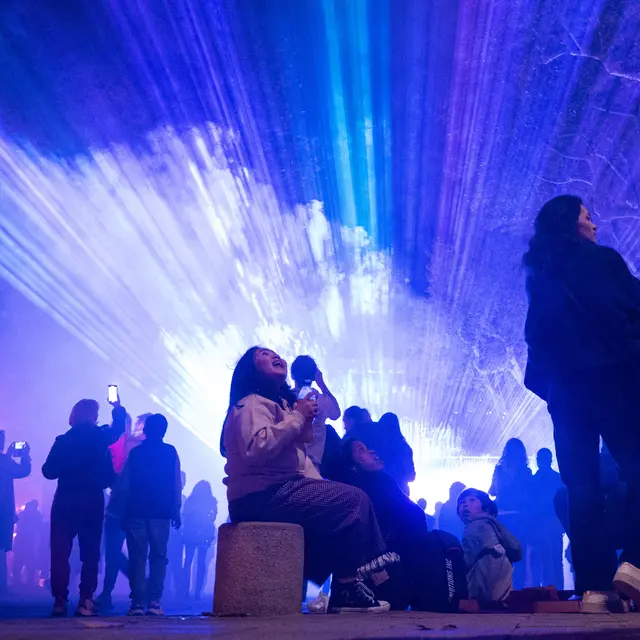 Biennale des Imaginaires Numériques 2024