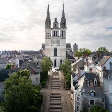 Visites à thèmes de la Cathédrale d'Angers_Angers