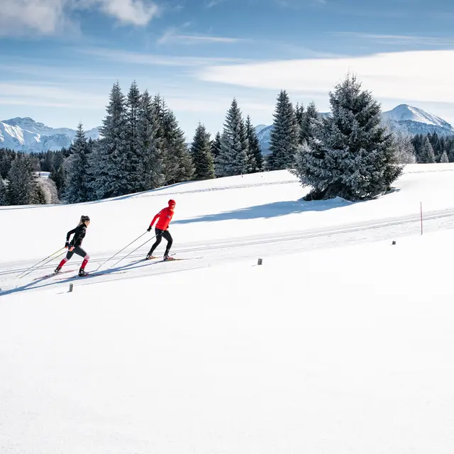 Ski de fond