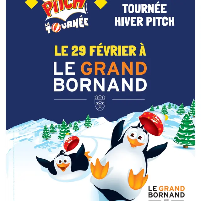 Affiche Pitch
