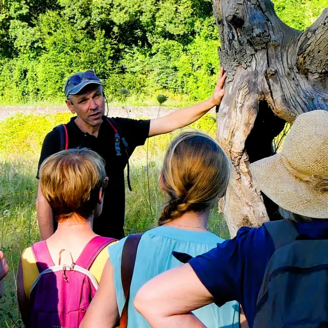 Formation : Apprendre à reconnaître les arbres_Écouflant
