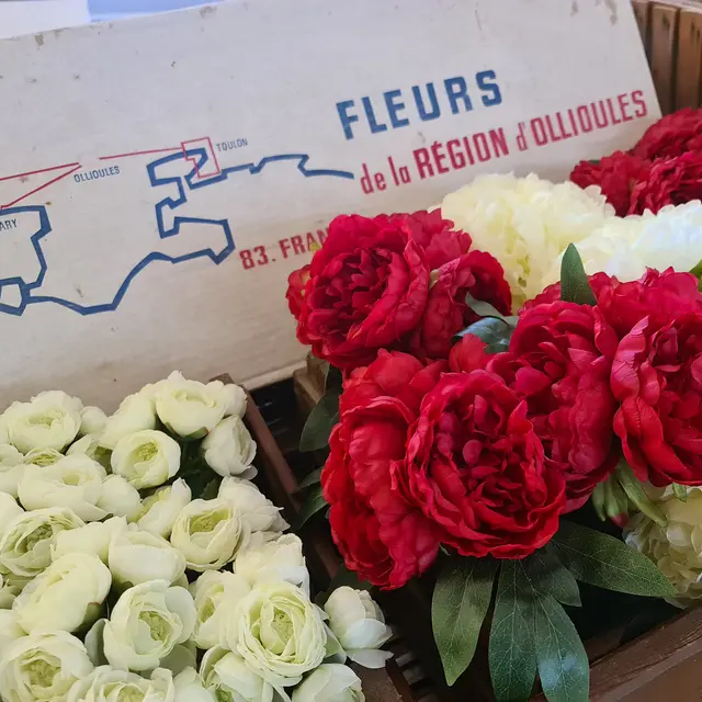 Visite commentée du Musée de la Fleur et de l'Olivier_Ollioules