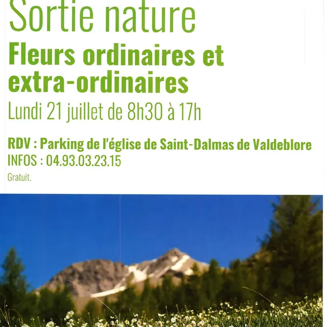 Fleurs ordinaires et extra-ordinaires_Valdeblore