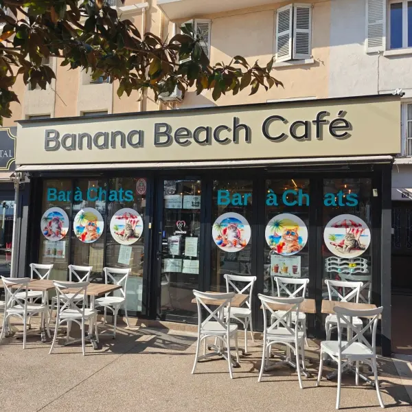 Le Miaou Miaou - Bar à Chats - Bananabeachcafe_Saint-Raphaël
