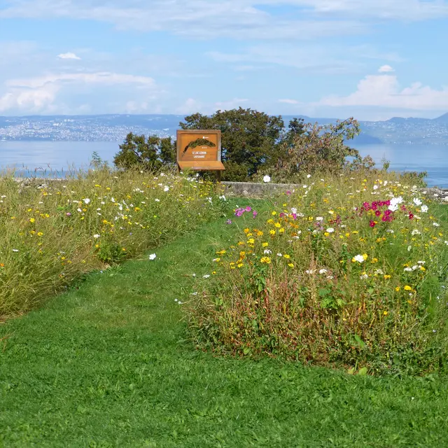 A la découverte du parc de Neuvecelle