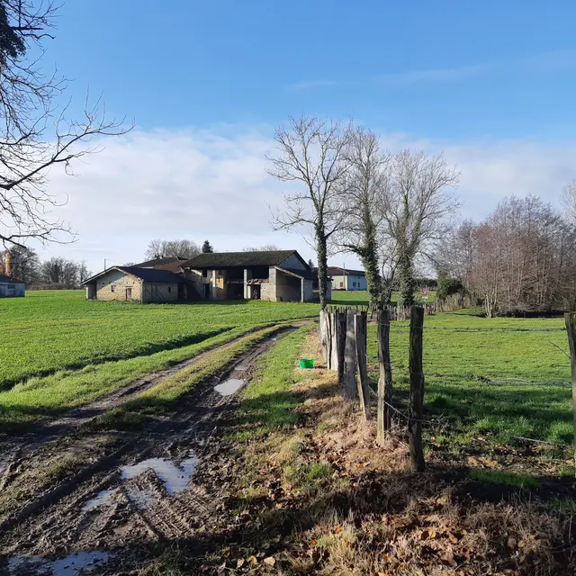 Sur les chemins de St Didier d'Aussiat