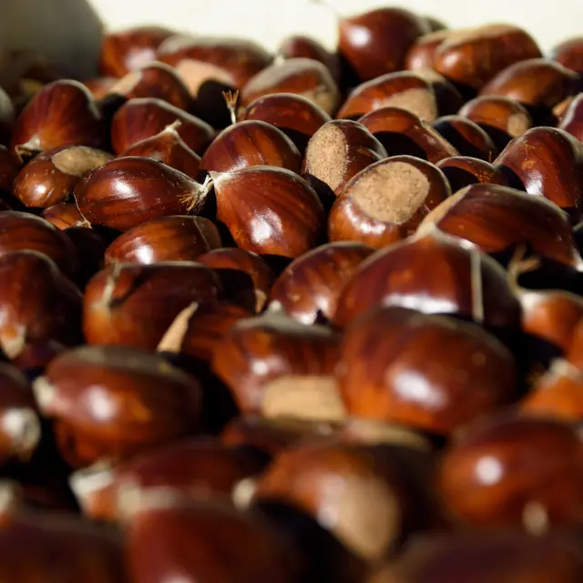 34e foire de la Châtaigne et du Châtaignier_Mourjou