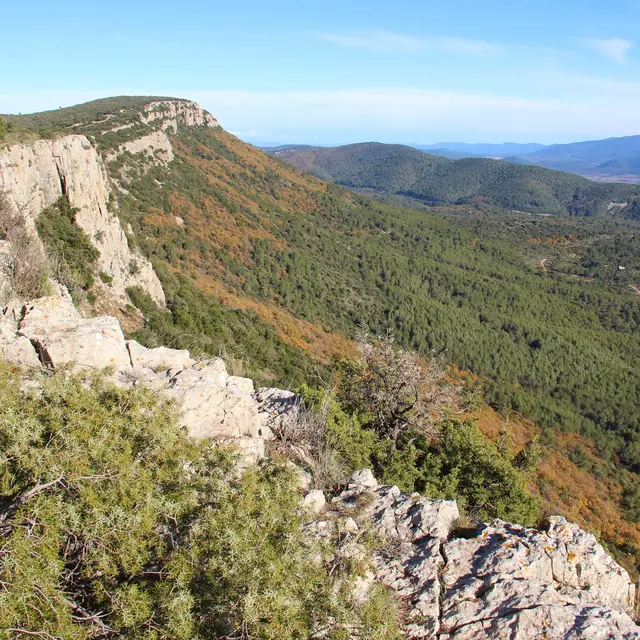 Rando-découverte à Cuers
