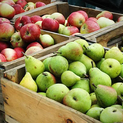 40ème Journées des fruits d’automne_Val-Revermont