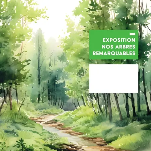 Exposition | Nos arbres remarquables_Moissac