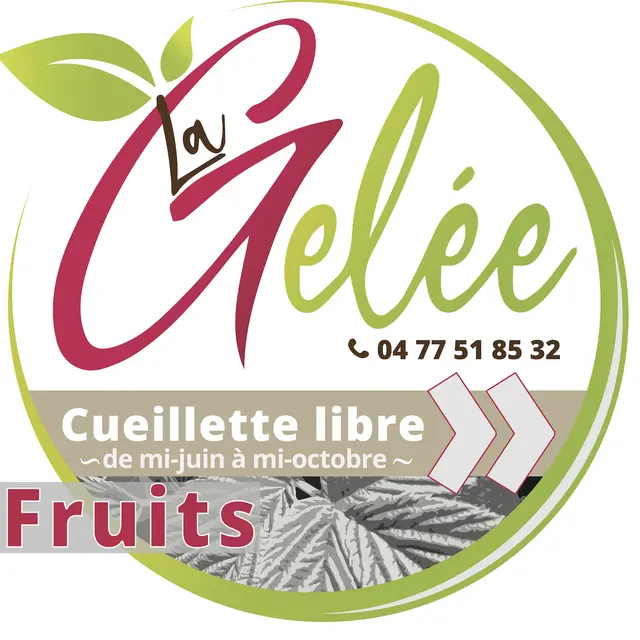 Signalétique Logo