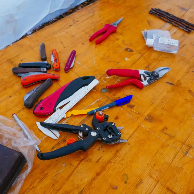 Atelier 