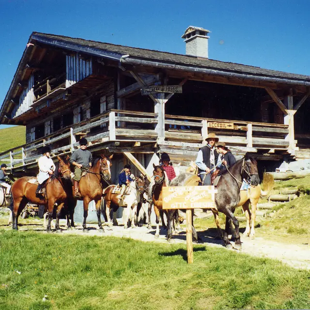 gite-equestre-refuge-de-la-croix-de-pierre-ete