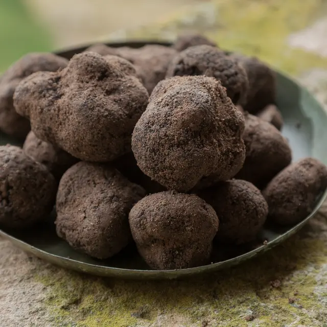 Marché Complice à la Truffe d'hiver_Richerenches