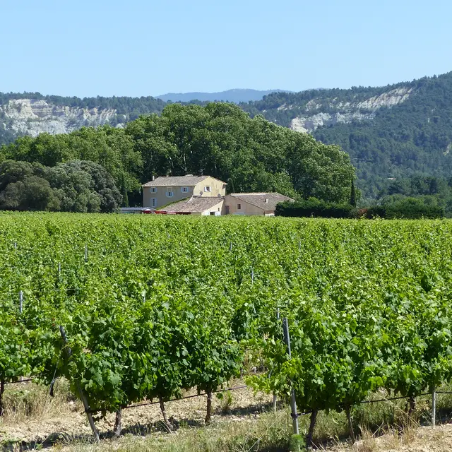 Château Grand Saint Julien
