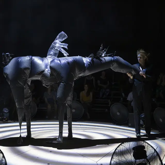 Nocturne (Parade) - Compagnie Non Nova – Phia Ménard_Annecy